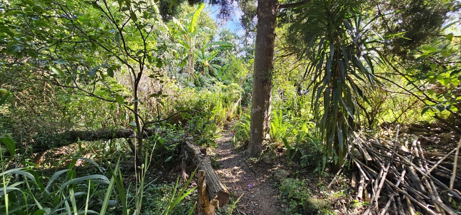 5 Bedroom Property for Sale in Swellendam Western Cape